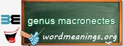 WordMeaning blackboard for genus macronectes